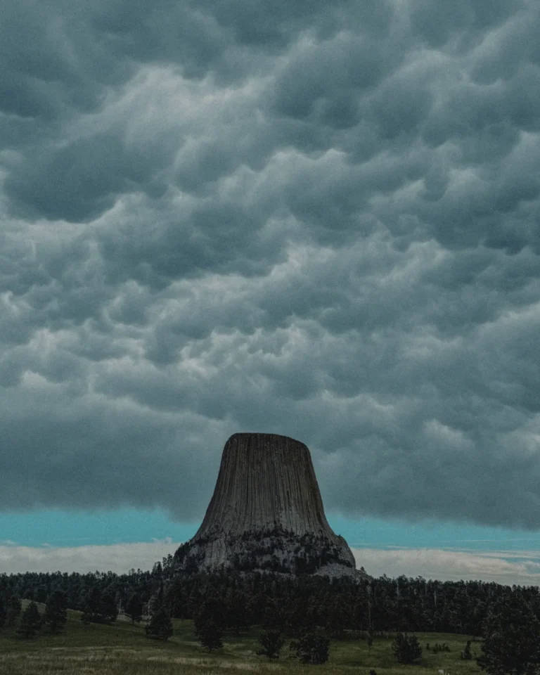 Bear’s Lodge - Adelina Minnigalieva