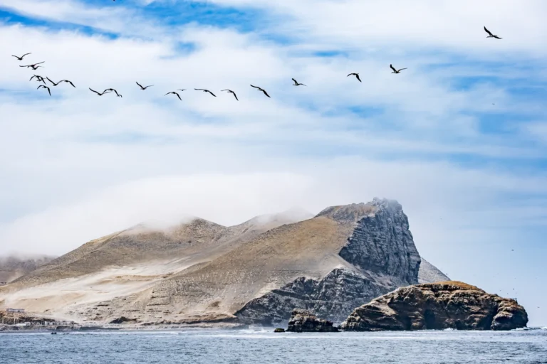 Flight over Coastal Cliffs - David Thurman