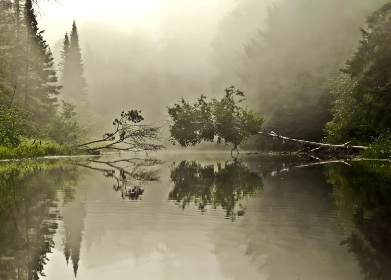 In Conversation - Linda Briskin