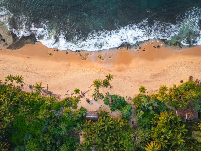 Wandering the Island - Adam Továrek